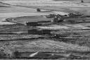 'Interior Landscape', photo JRV