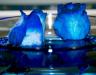 Dos Rosas Azules