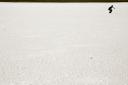 Salt. Photo JRV